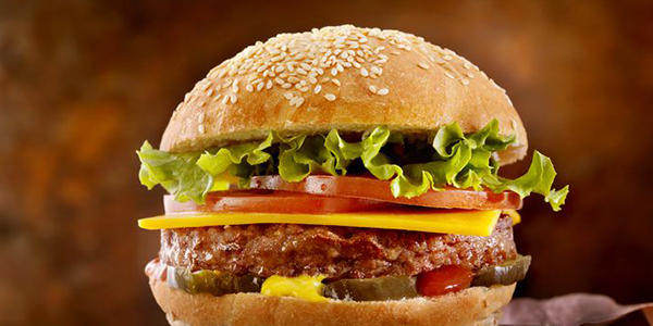 House burger